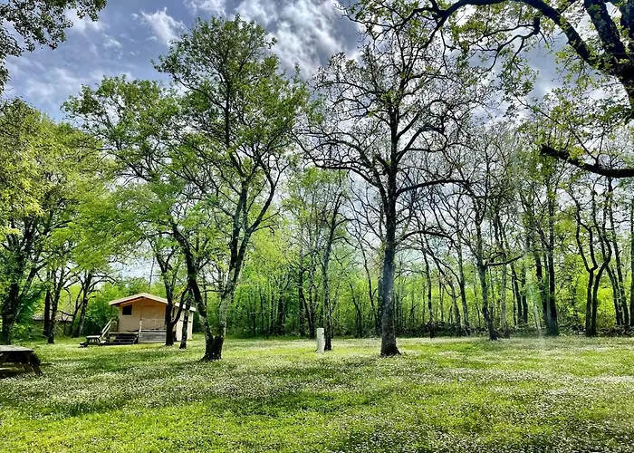 Du Bois Dodo Septfonds