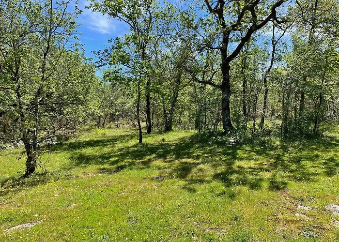 キャンプ場 Du Bois Dodo Septfonds