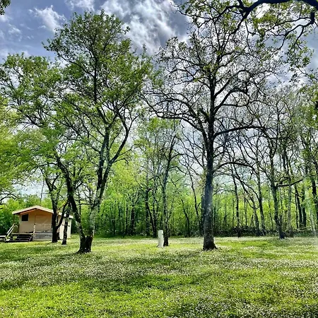 Du Bois Dodo Septfonds