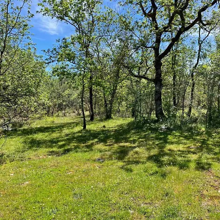 Kemp Du Bois Dodo Septfonds